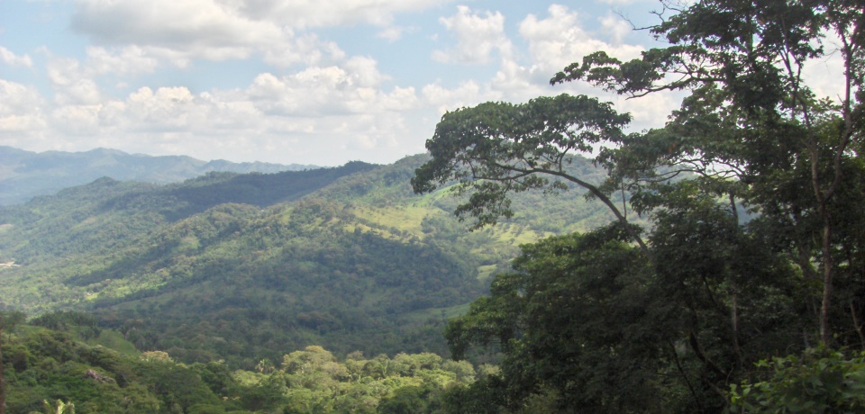 illy Monoarabica Colombia - Támara