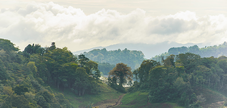 Matagalpa