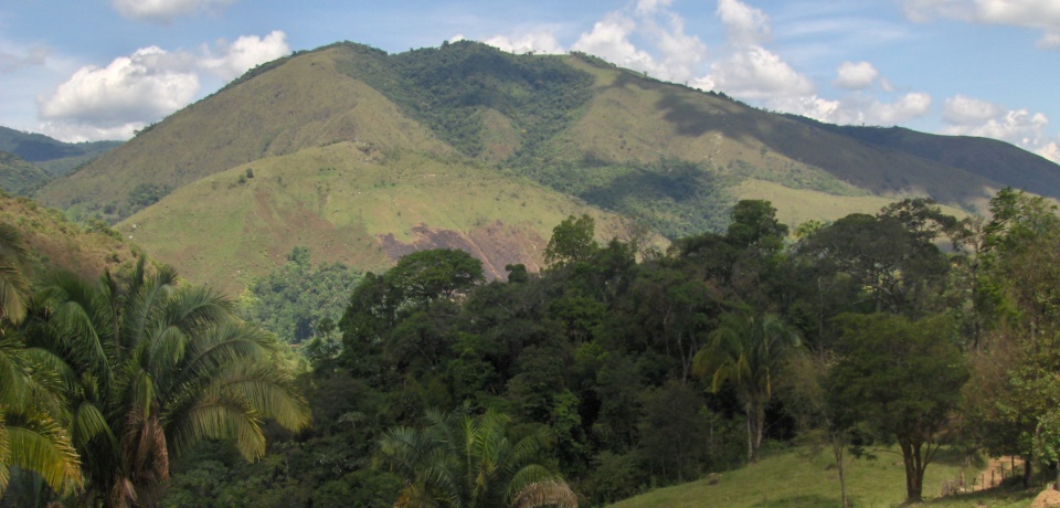 illy Monoarabica Colombia - Cauca