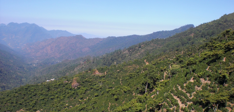 illy Monoarabica Guatemala - Huehuetenango