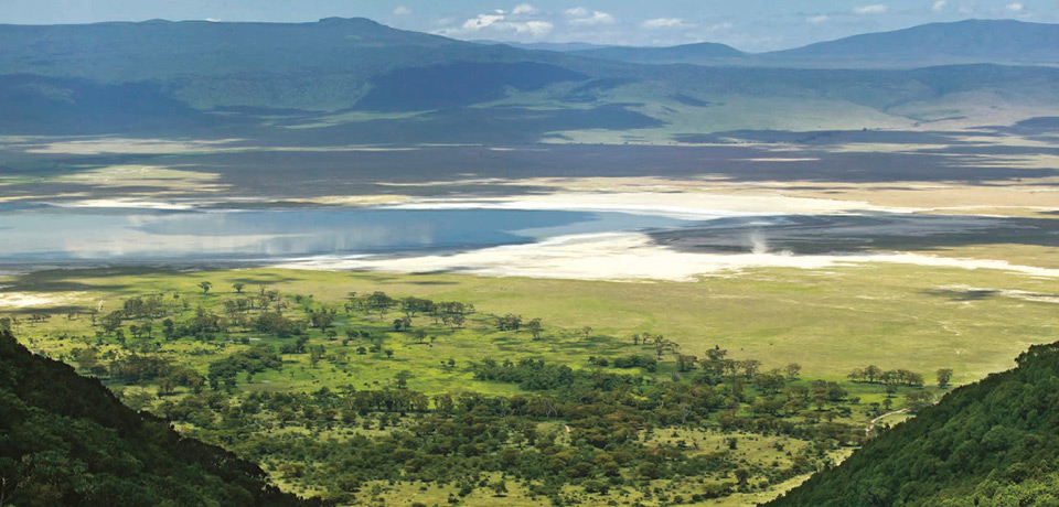 Ngorongoro