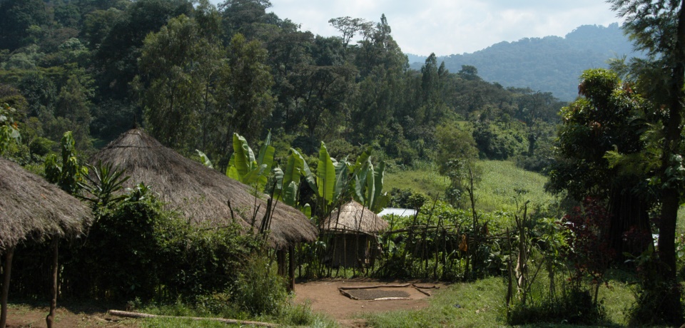 illy Monoarabica Ethiopië - Sidamo